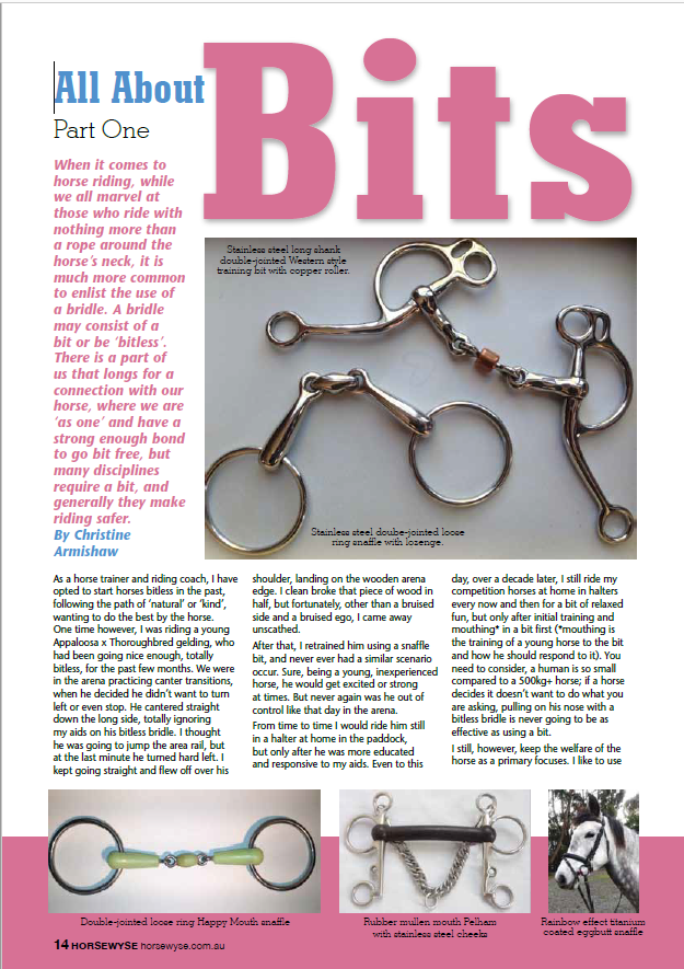 All About Bits - Part 1 by Christine Armishaw in Horsewyse Magazine Winter 2019