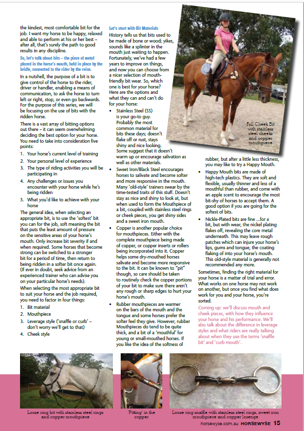 All About Bits - Part 1 by Christine Armishaw in Horsewyse Magazine Winter 2019