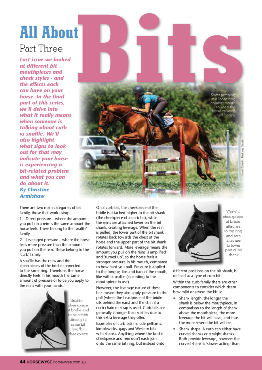 All About Bits - Part 3 by Christine Armishaw in Horsewyse Magazine Summer 2019
