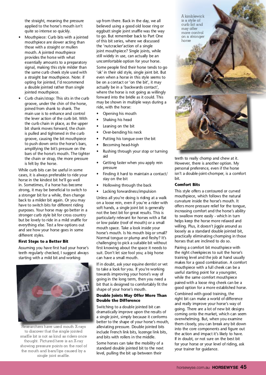 All About Bits - Part 3 by Christine Armishaw in Horsewyse Magazine Summer 2019